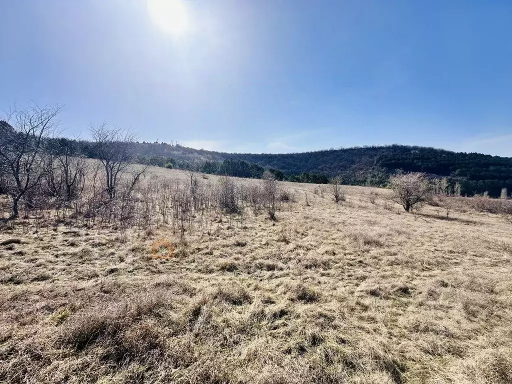Участок в Крым, Бахчисарай городское поселение, Научный пгт ул. ... - Фото 2