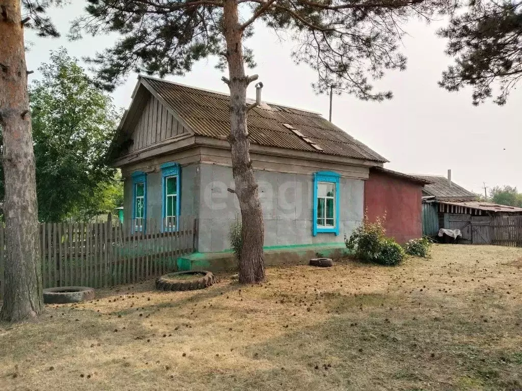 Дом в Амурская область, Тамбовский муниципальный округ, с. Куропатино ... - Фото 1