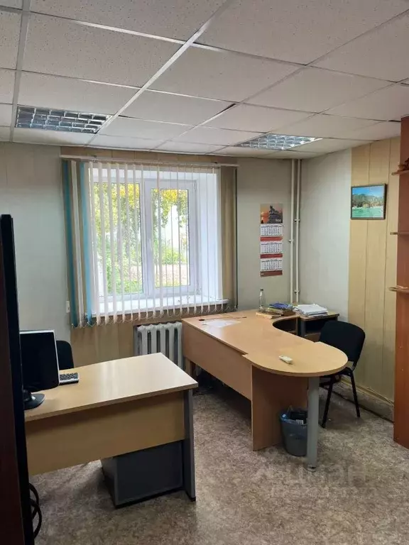 Офис в Алтайский край, Барнаул ул. Профинтерна, 44Б (60 м) - Фото 1