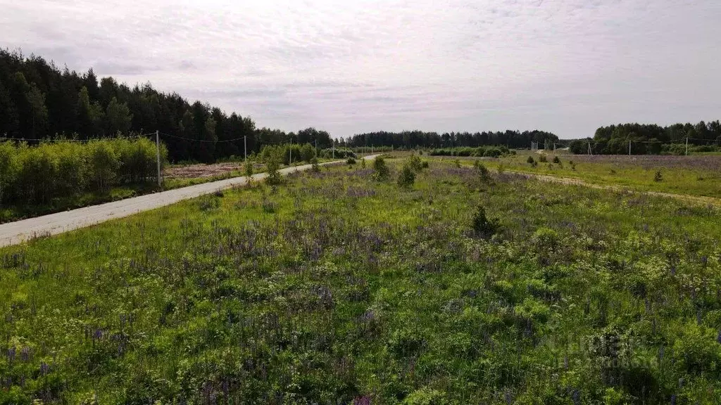 Участок в Владимирская область, Киржачский муниципальный округ, д. ... - Фото 1