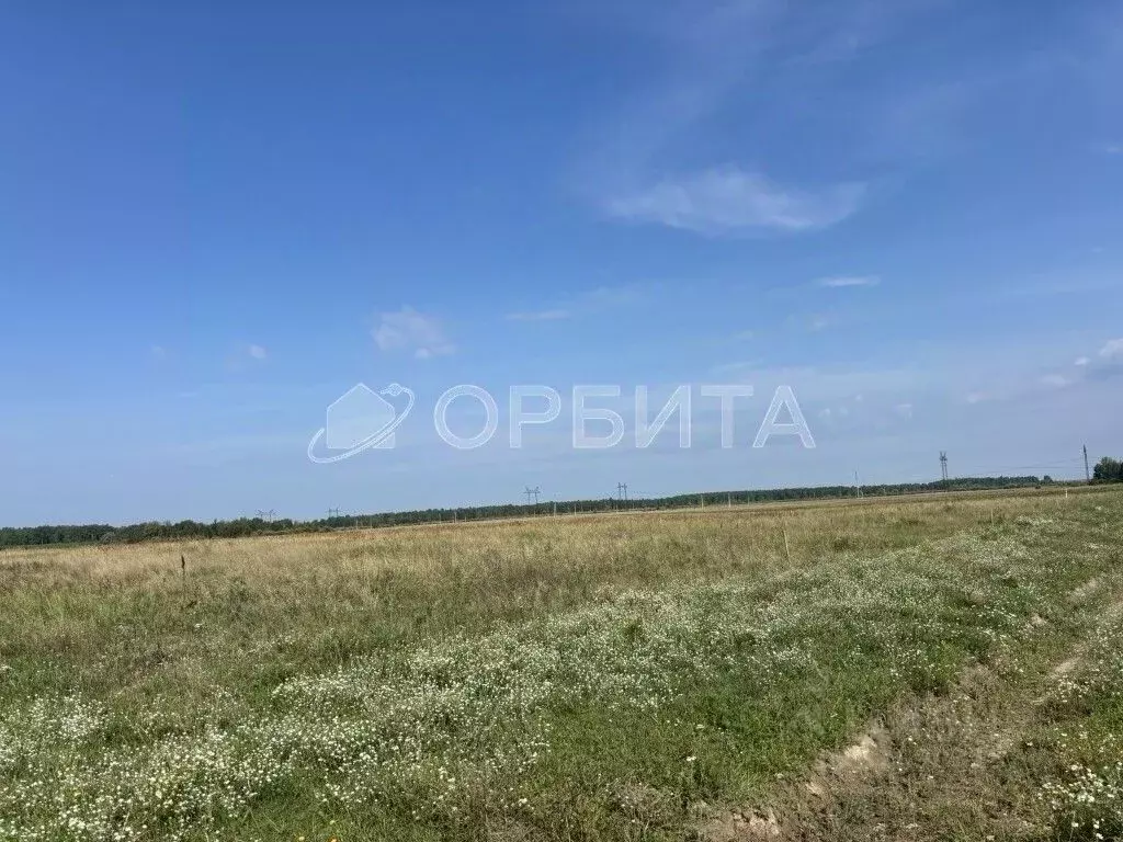 Участок в Тюменская область, Нижнетавдинский муниципальный округ, ... - Фото 1