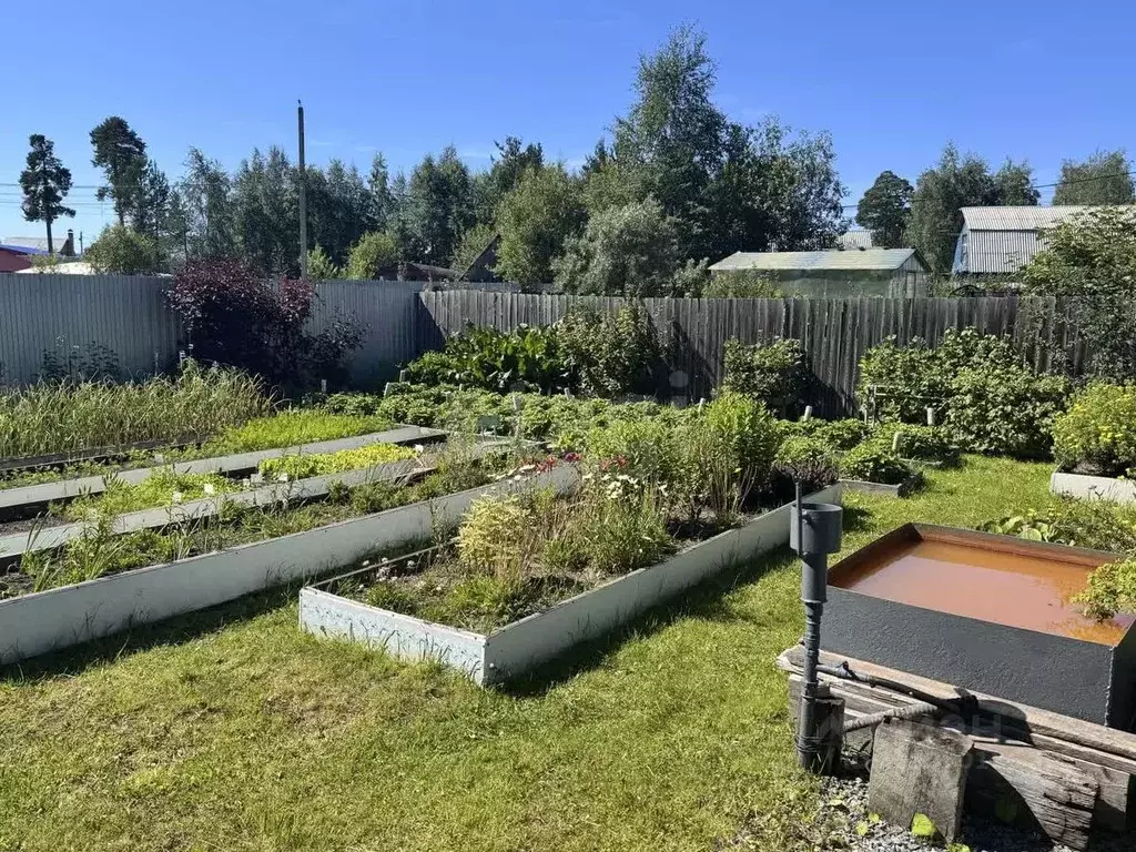 Участок в Ханты-Мансийский АО, Сургут № 41 Рябинка садоводческий ... - Фото 0