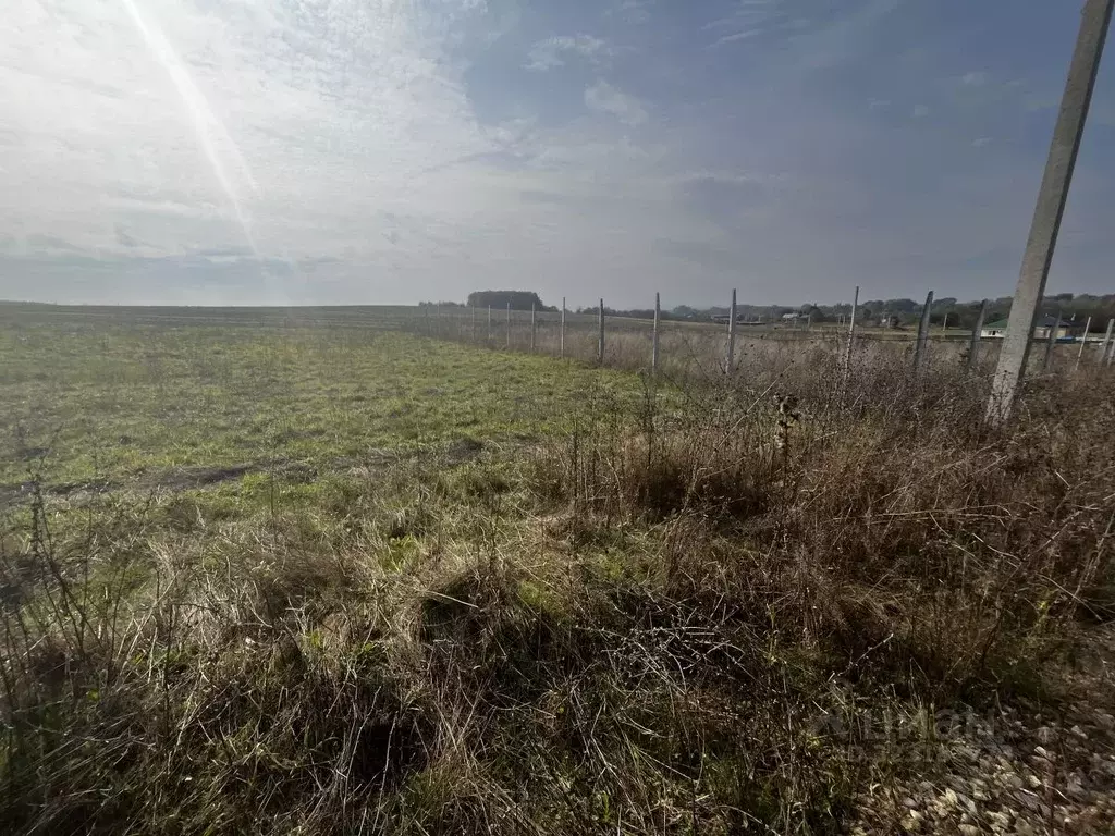 Участок в Краснодарский край, Северский район, Калужское с/пос, ... - Фото 2