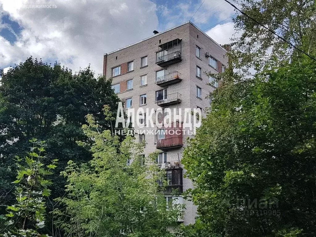 1-комнатная квартира: Санкт-Петербург, проспект Тореза, 98к3 (31.7 м) - Фото 1