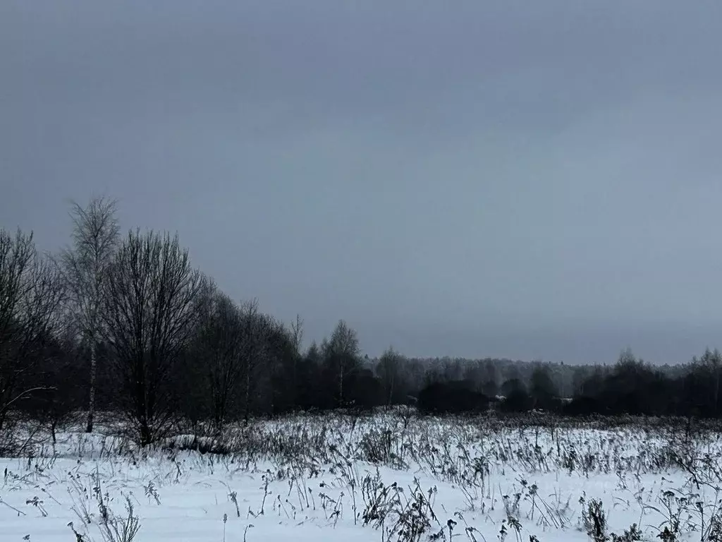 Участок в Московская область, Ступино городской округ, д. Ольховка  ... - Фото 1