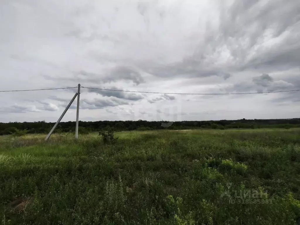 Участок в Белгородская область, Белгородский район, Дубовское с/пос, ... - Фото 0