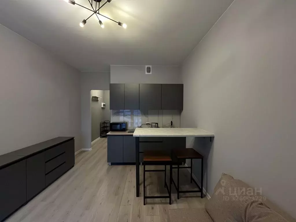 Студия Санкт-Петербург ул. Среднерогатская, 10к1 (22.7 м) - Фото 1