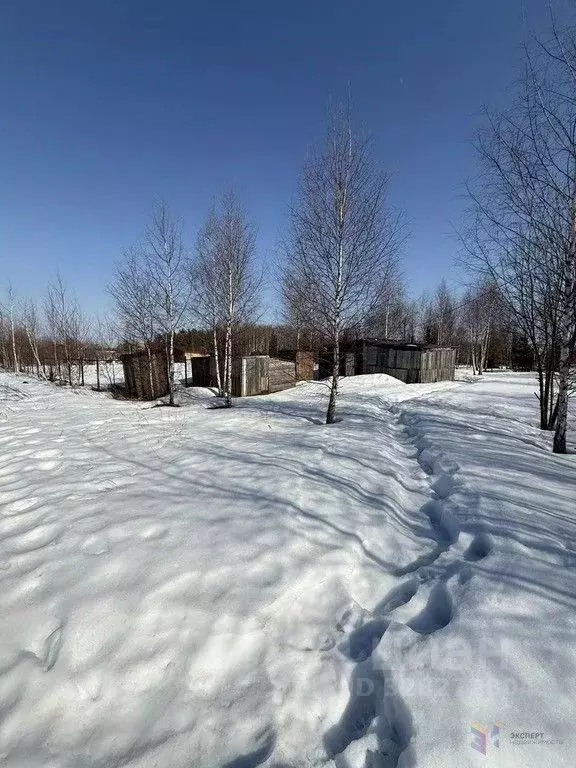 Участок в Московская область, Ступино городской округ, с. Нефедьево  ... - Фото 2