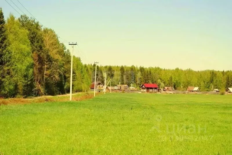 Участок в Кировская область, Киров городской округ, д. Гуси ул. ... - Фото 1