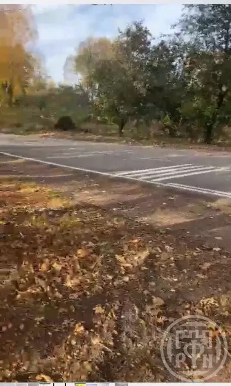 Участок в Ленинградская область, Лужский район, пос. Скреблово 38 (6.0 ... - Фото 2