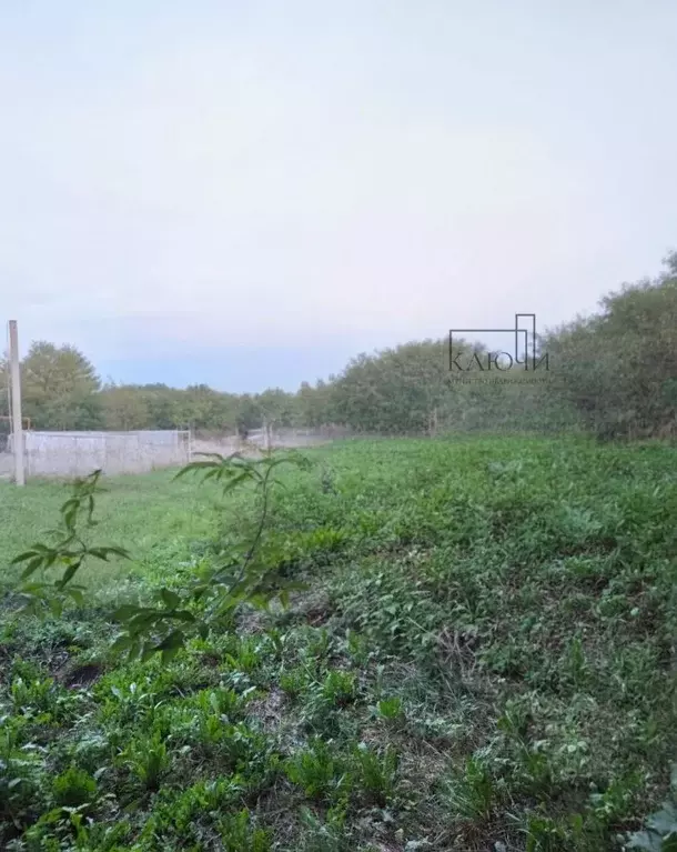 Участок в Башкортостан, Абзелиловский район, Ташбулатовский сельсовет, ... - Фото 1