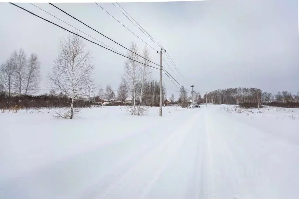 Участок в Новосибирская область, Бердск Ива СНТ, ул. 16-я, 2 (5.1 ... - Фото 1