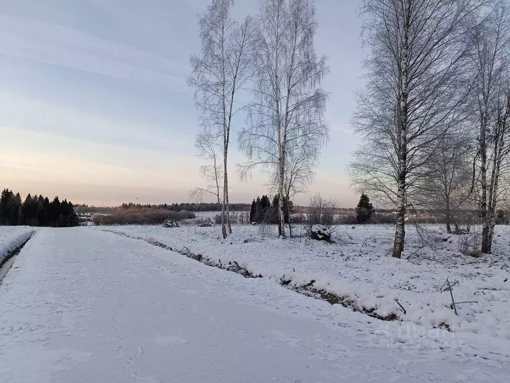 Участок в Московская область, Клин городской округ, Коськово кп  (6.0 ... - Фото 0