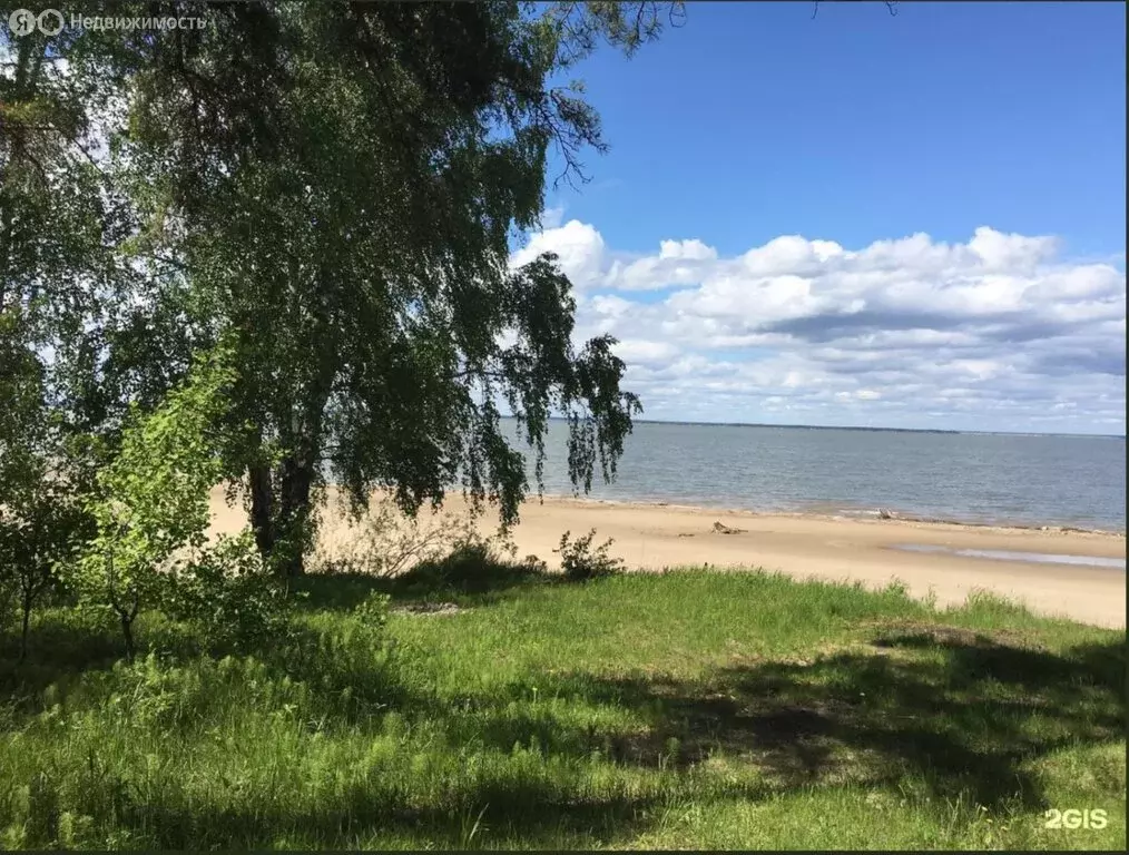 Участок в Искитимский район, деревня Бурмистрово (10 м) - Фото 1