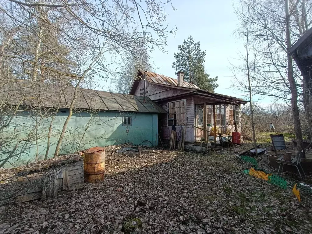 Участок в Санкт-Петербург Дружный-1 СНТ, 6-я линия, 12 (11.4 сот.) - Фото 2