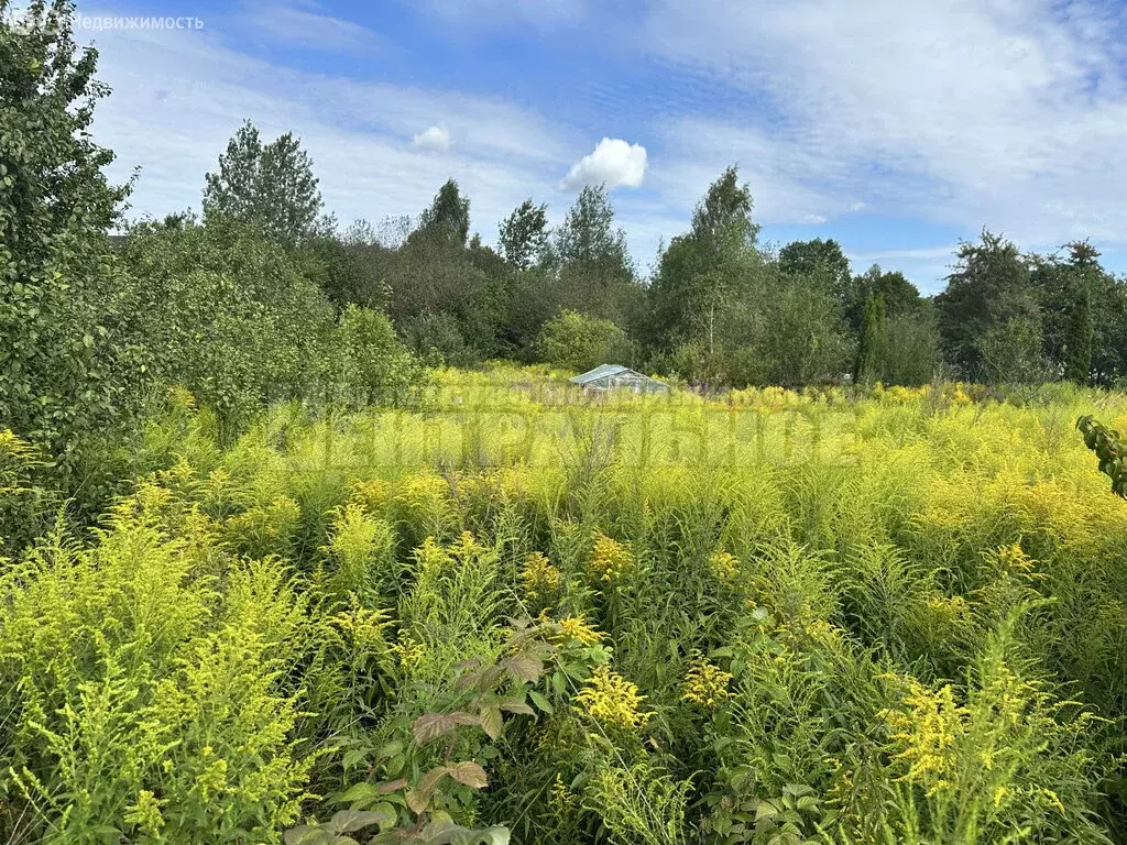 Участок в Смоленск, улица Николаева (17.74 м) - Фото 2