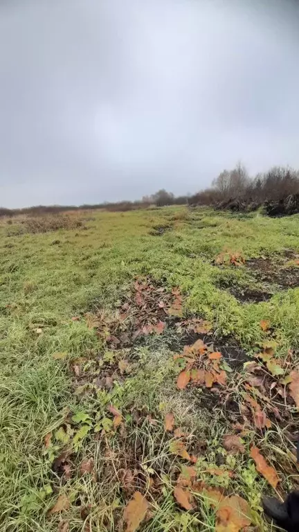 Участок в Башкортостан, Краснокамский район, Музяковский сельсовет, д. ... - Фото 2