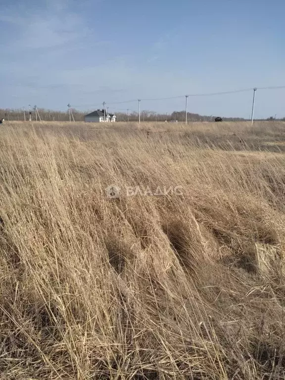 Участок в Тамбовская область, Тамбов ул. Челнавская, 11 (7.18 сот.) - Фото 1