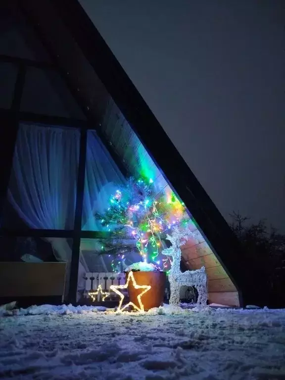 Дом в Пензенская область, Пензенский район, Засечный сельсовет, ... - Фото 1