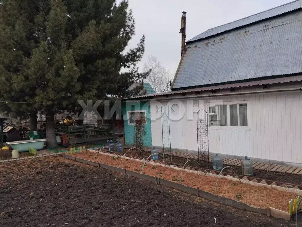 Дом в Новосибирская область, Новосибирский район, Каменский сельсовет, ... - Фото 2