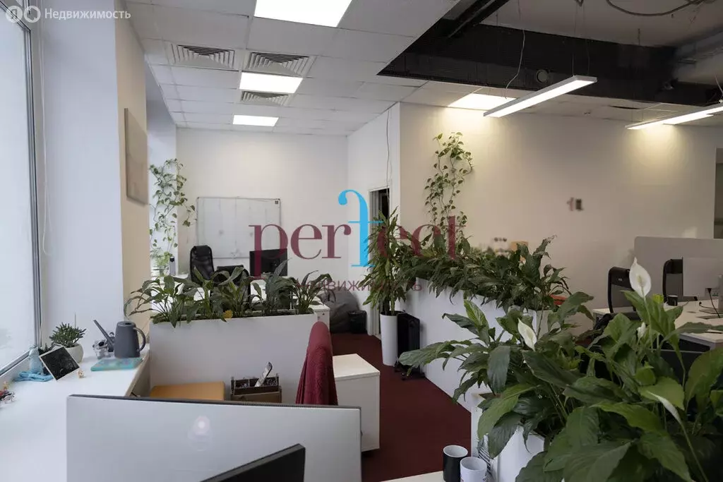 Офис (449 м) - Фото 1