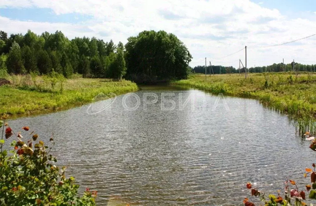 Участок в Тюменская область, Вагайский район, с. Ушаково  (6.0 сот.) - Фото 1