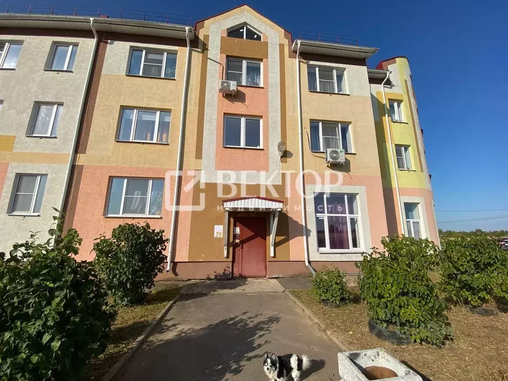 1-к кв. Ивановская область, Кохма просп. Героев, 17 (31.0 м) - Фото 1