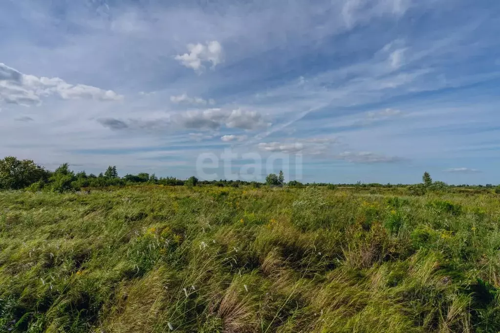 Участок в Хабаровский край, Хабаровский район, Тополевское с/пос, с. ... - Фото 2