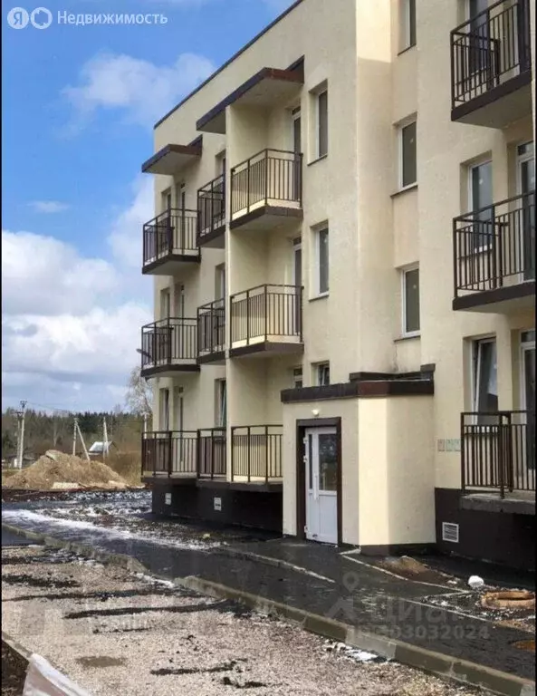 Квартира-студия: посёлок Романовка, Гаражный проезд, 14к2 (24 м) - Фото 2