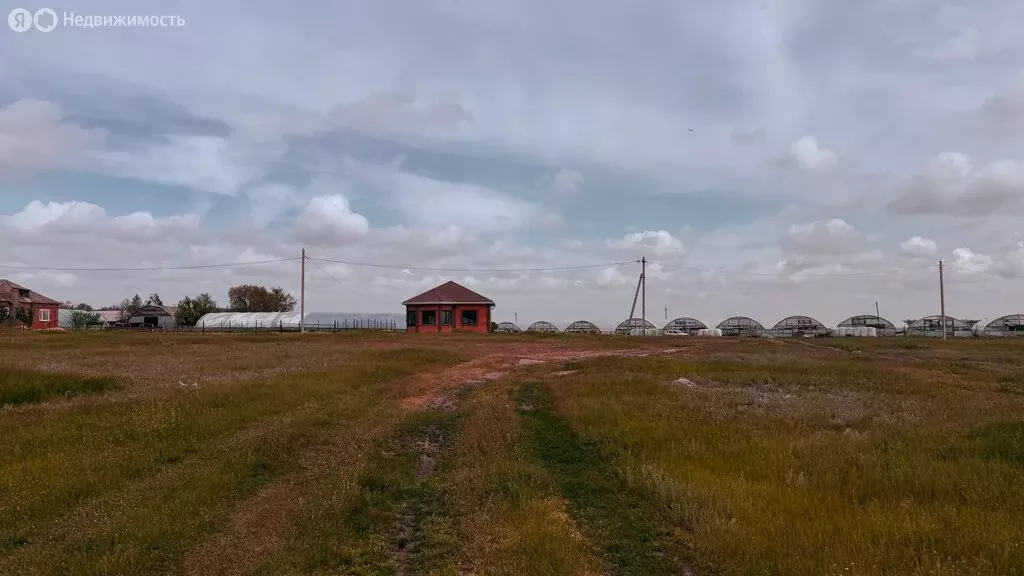 Участок в станица Багаевская, Пушкинская улица, 204 (15 м) - Фото 1