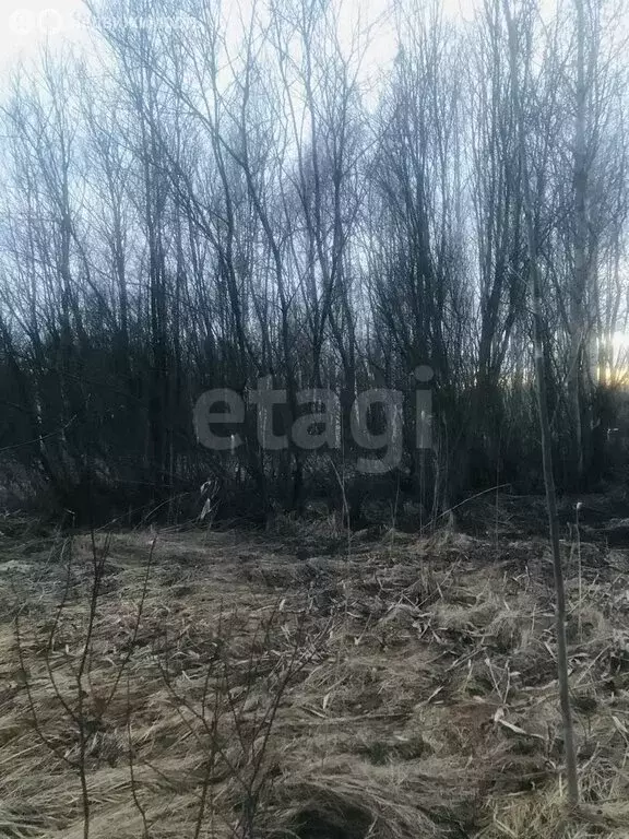 Участок в Вологда, садоводческое товарищество Меркурий (7.5 м) - Фото 2