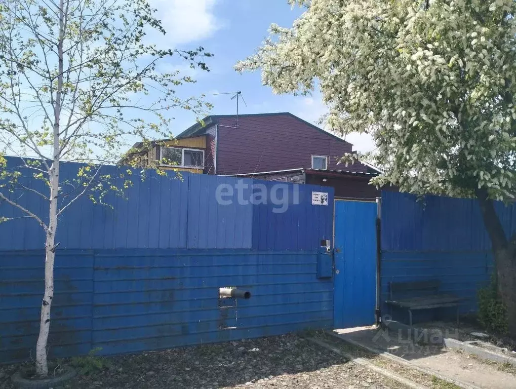 Дом в Амурская область, Белогорск ул. Гоголя, 26 (219 м) - Фото 0