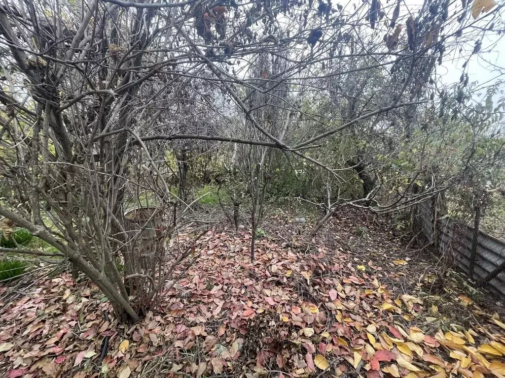 Участок в Севастополь Эра-1 садоводческое товарищество,  (8.6 сот.) - Фото 1