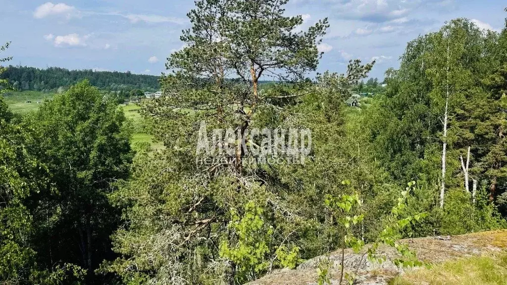 Участок в Ленинградская область, Выборгский район, Каменногорское ... - Фото 1