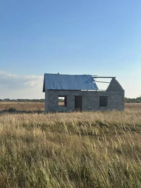 Дом в Самарская область, Ставропольский район, с. Ташелка ул. ... - Фото 1