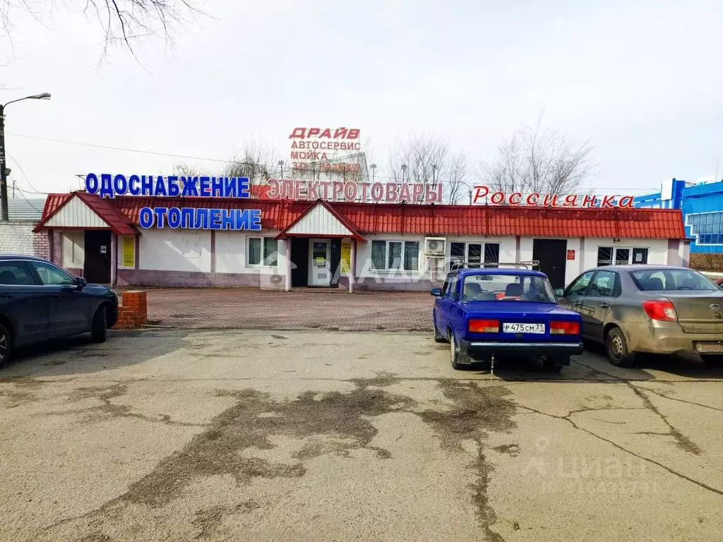 Торговая площадь в Белгородская область, Белгород просп. Богдана ... - Фото 0