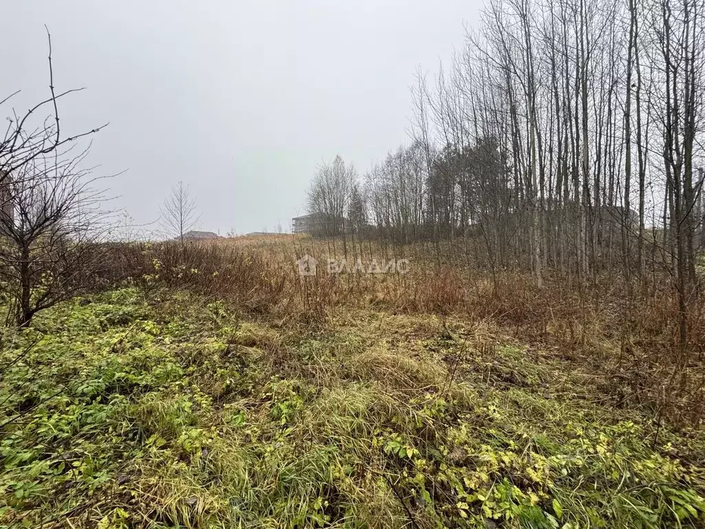 Участок в Ленинградская область, Всеволожский район, Бугровское ... - Фото 2