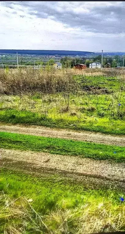 Участок в Воронежская область, Семилукский район, Губаревское с/пос, ... - Фото 2