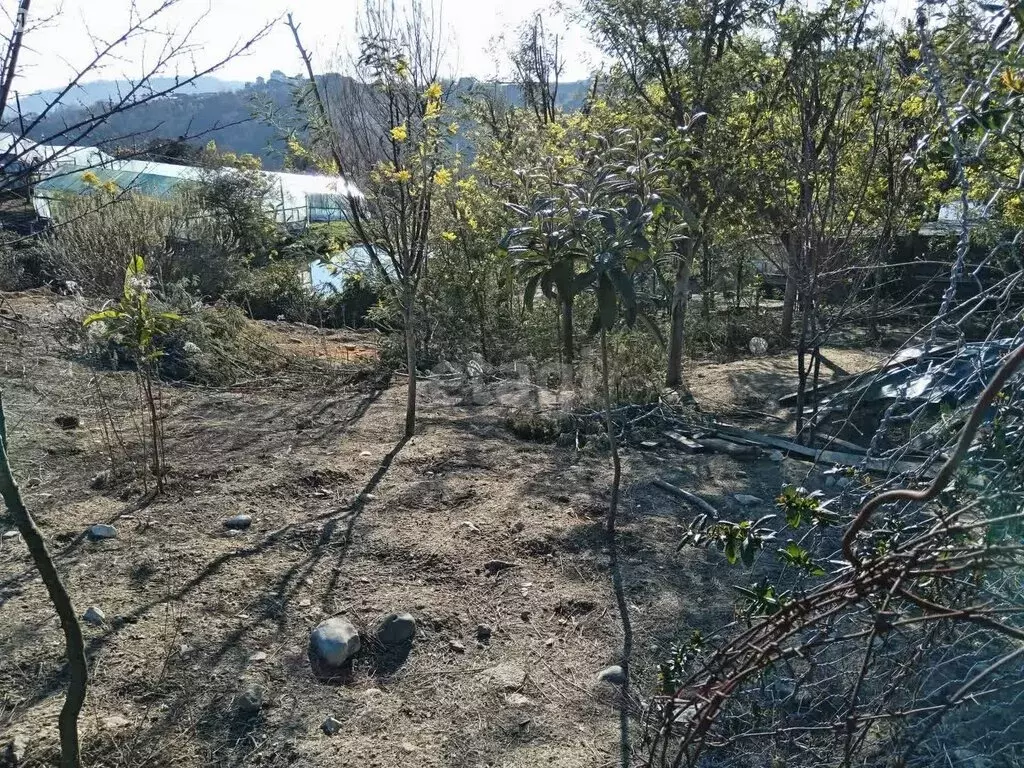Участок в Краснодарский край, городской округ Сочи, село Ермоловка (8 ... - Фото 1