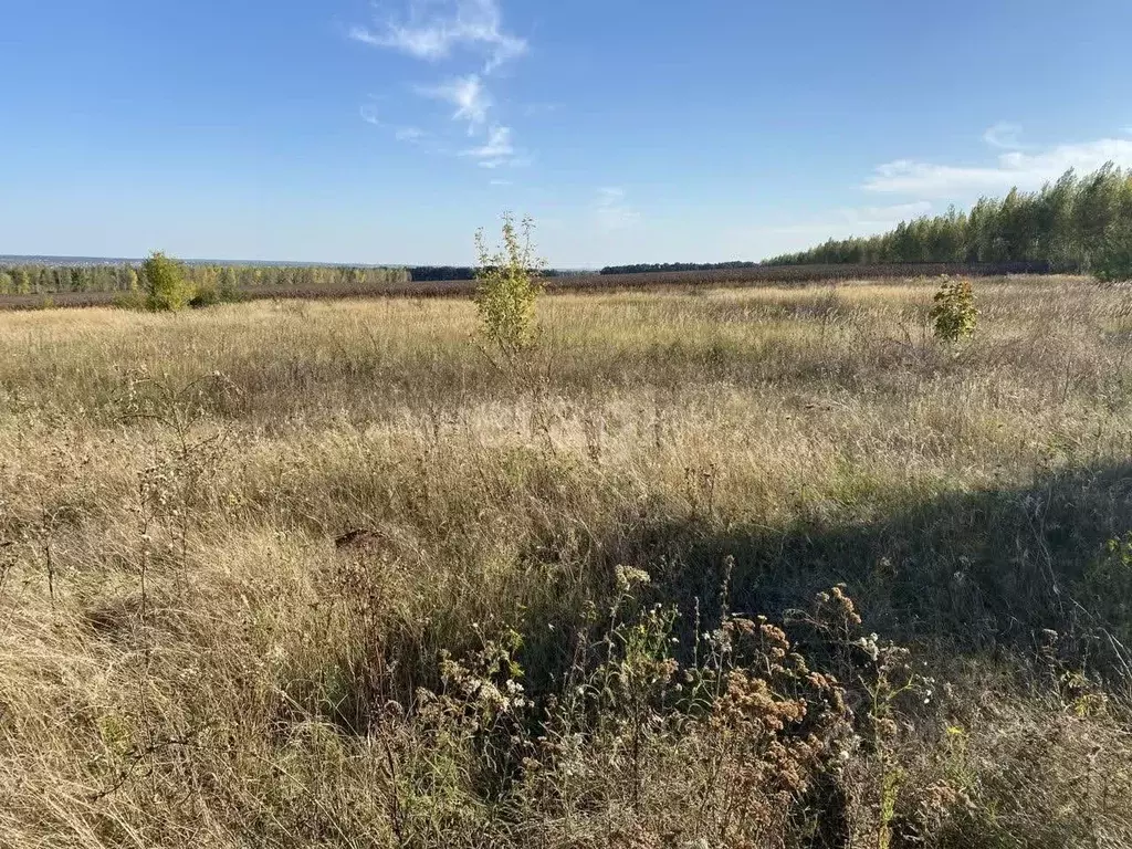 участок в воронежская область, семилукский район, с. губарево (30.0 . - Фото 1