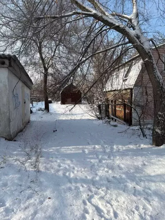 Участок в Белгородская область, Поселок Чернянка городское поселение, ... - Фото 1