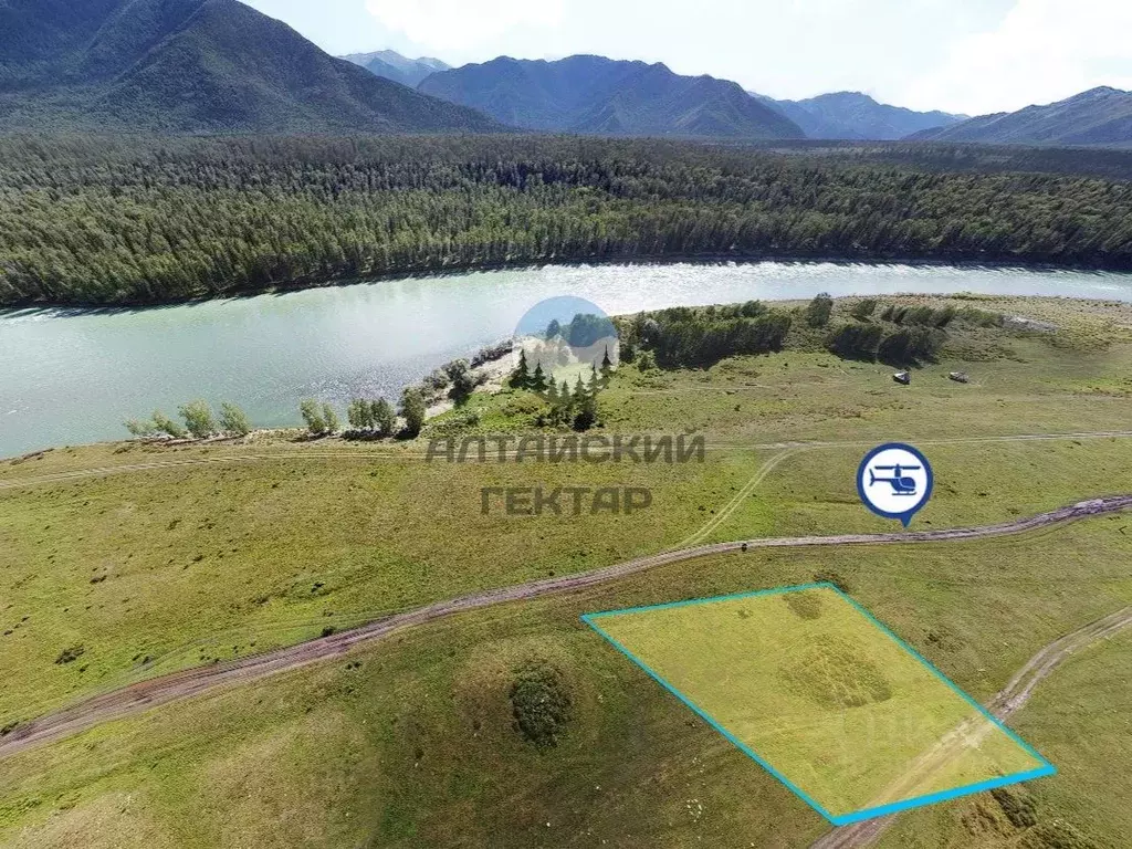 Участок в Алтай, Усть-Коксинский район, с. Тюнгур ул. Лазурная (17.96 ... - Фото 1
