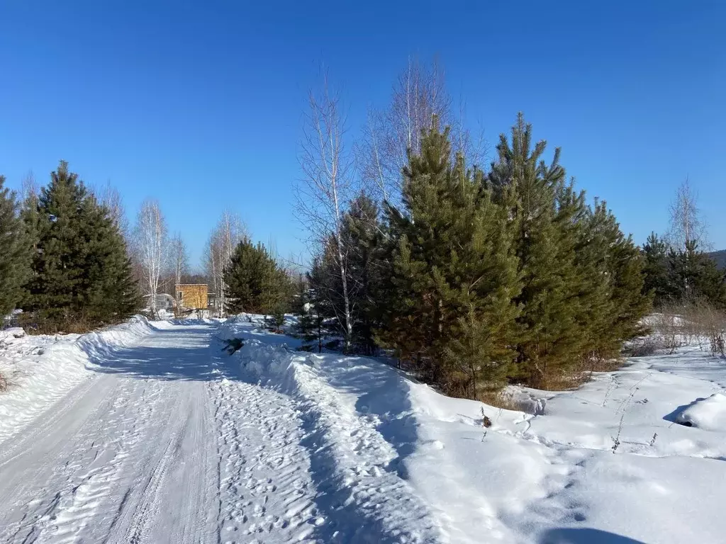 Участок в Иркутская область, Шелеховский район, Баклашинское ... - Фото 1