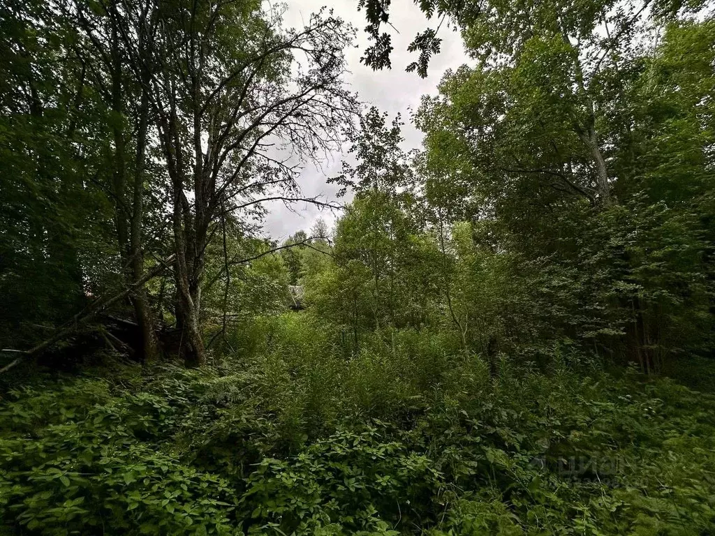 Участок в Ленинградская область, Приозерский район, Плодовское с/пос, ... - Фото 2