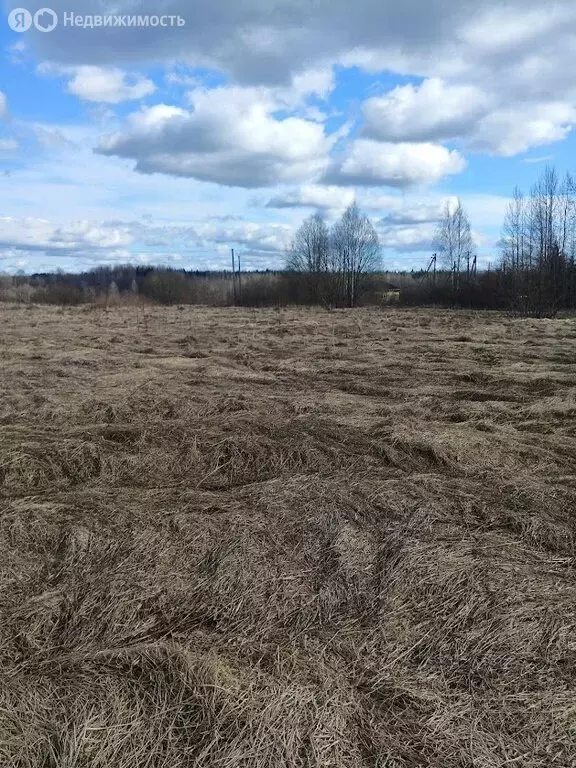 Участок в Толмачёвское городское поселение, деревня Долговка (23 м) - Фото 1