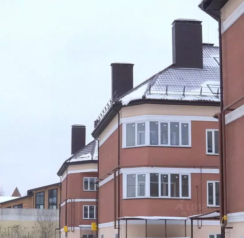 1-к кв. Московская область, Истра муниципальный округ, с. Павловская ... - Фото 2