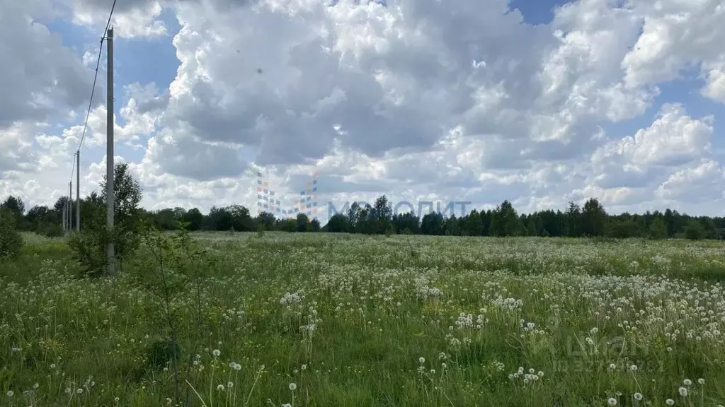 Участок в Нижегородская область, Чкаловск муниципальный округ, д. ... - Фото 1