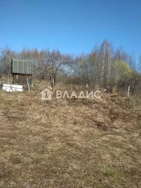 Участок в Нижегородская область, Нижний Новгород Березовый Клин СНТ, ... - Фото 2
