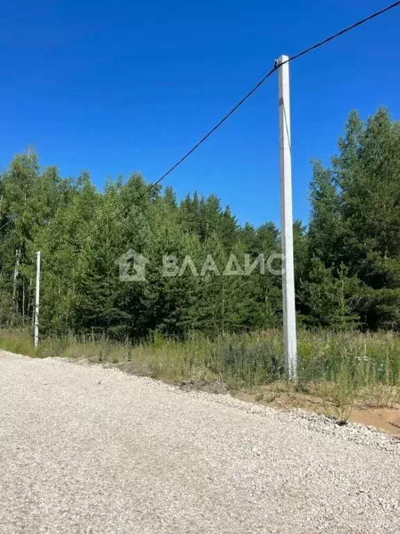 Участок в Владимирская область, Судогодский район, Вяткинское ... - Фото 0