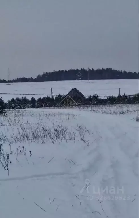 Участок в Иркутская область, Иркутский муниципальный округ, д. Ширяева ... - Фото 2